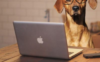 How to Choose the Right Pair of Glasses