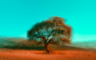 What is a Visual Field Test?