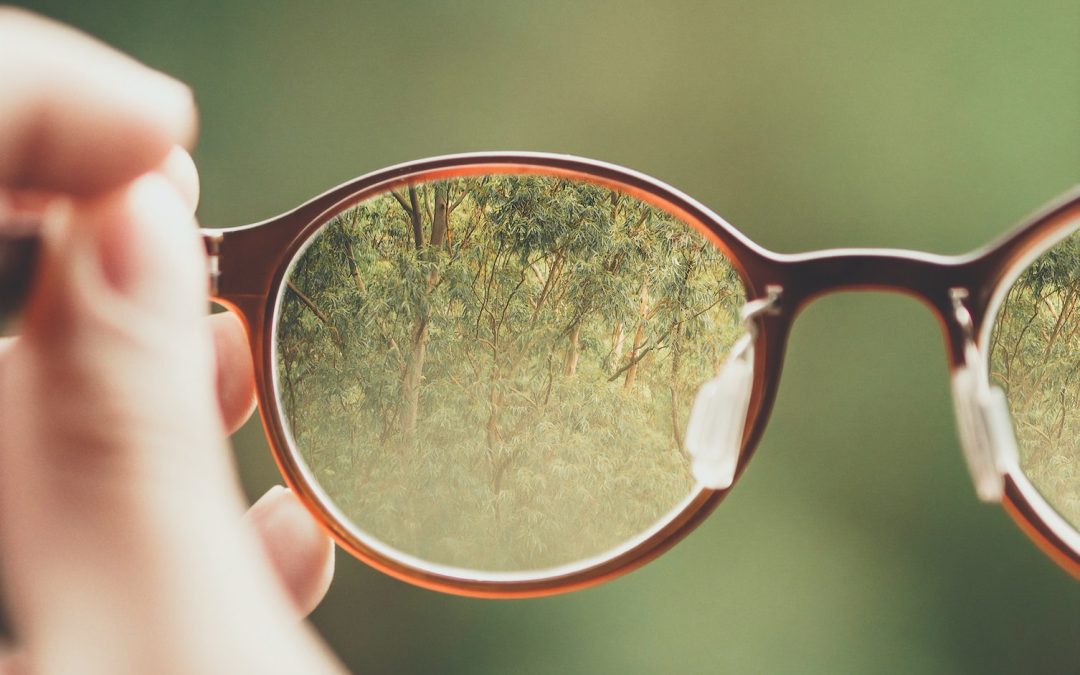 Best Lens Materials for Glasses