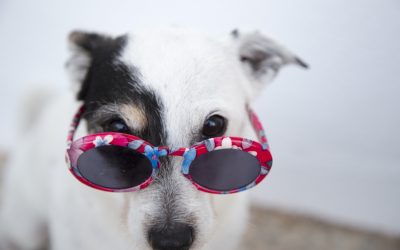 Understanding Subconjunctival Hemorrhage