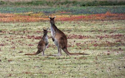 The Truth About Dry Eyes and Screen Time